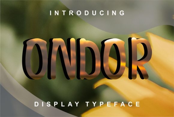 Choosing Ondor for a Clean and Modern Web Design
