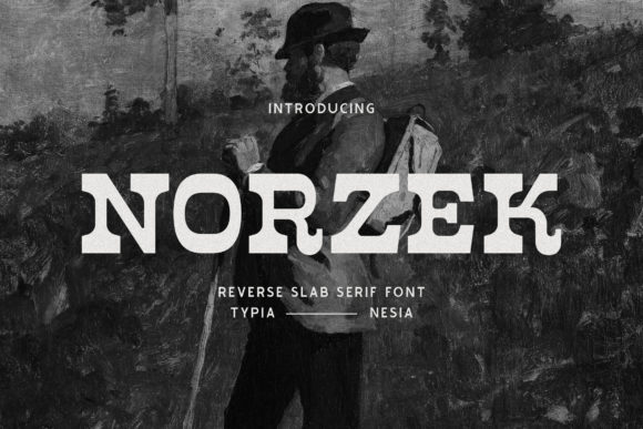 How Norzek Transformed My Brand’s Visual Identity