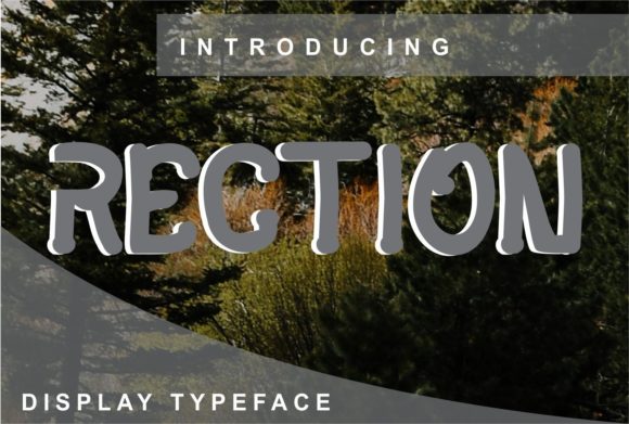 Rection: A Versatile Display Font for Digital Design